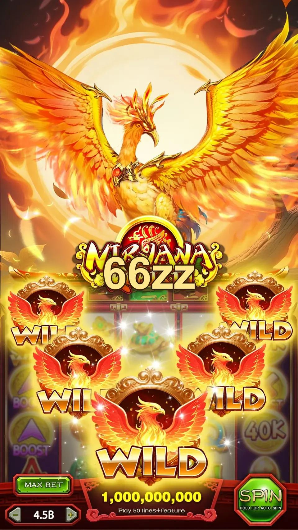 66zz লগইন